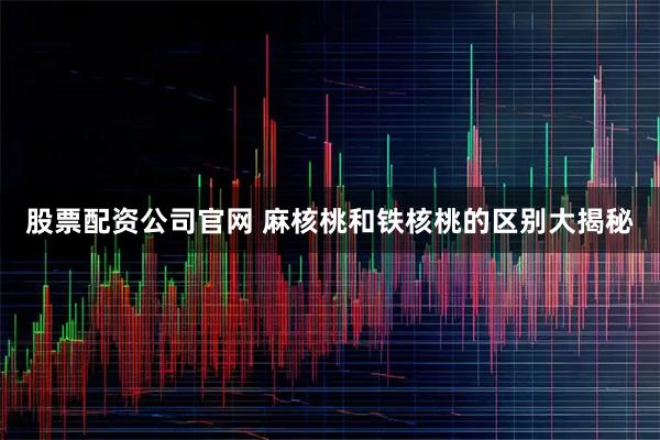 股票配资公司官网 麻核桃和铁核桃的区别大揭秘