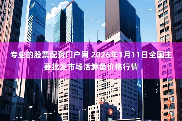 专业的股票配资门户网 2026年1月11日全国主要批发市场活鳜鱼价格行情